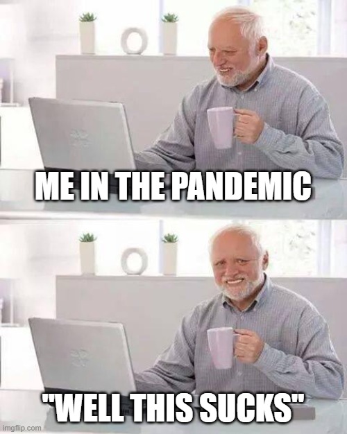 IDK | ME IN THE PANDEMIC; "WELL THIS SUCKS" | image tagged in memes,hide the pain harold | made w/ Imgflip meme maker