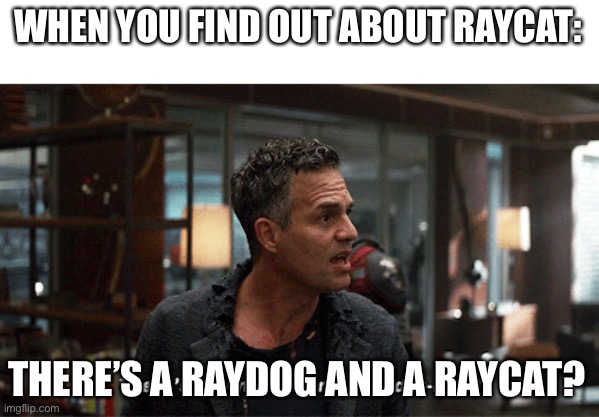 LOL | WHEN YOU FIND OUT ABOUT RAYCAT:; THERE’S A RAYDOG AND A RAYCAT? | image tagged in funny,memes,imgflip users,raydog | made w/ Imgflip meme maker