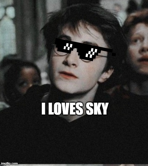 Harry Glasses | I LOVES SKY | image tagged in harry potter | made w/ Imgflip meme maker