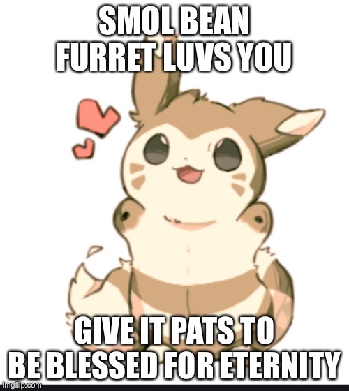 Smol bean furret ❤️ | SMOL BEAN FURRET LUVS YOU; GIVE IT PATS TO BE BLESSED FOR ETERNITY | image tagged in furret,bean,cute | made w/ Imgflip meme maker
