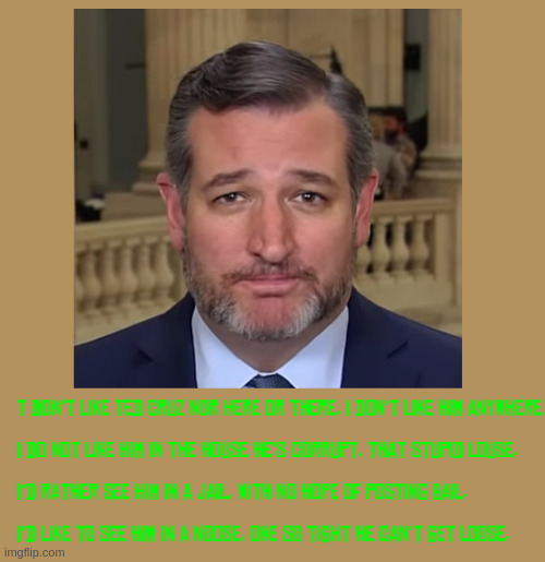 I do not like Ted Cruz | image tagged in ted cruz | made w/ Imgflip meme maker