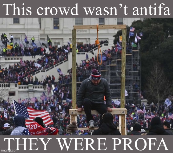 v rare profa demonstrators | This crowd wasn’t antifa; THEY WERE PROFA | image tagged in capitol hill riot gallows,antifa,politics lol,capitol hill,riot,maga | made w/ Imgflip meme maker