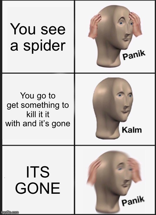 Oh no | You see a spider; You go to get something to kill it it with and it’s gone; ITS GONE | image tagged in memes,panik kalm panik | made w/ Imgflip meme maker