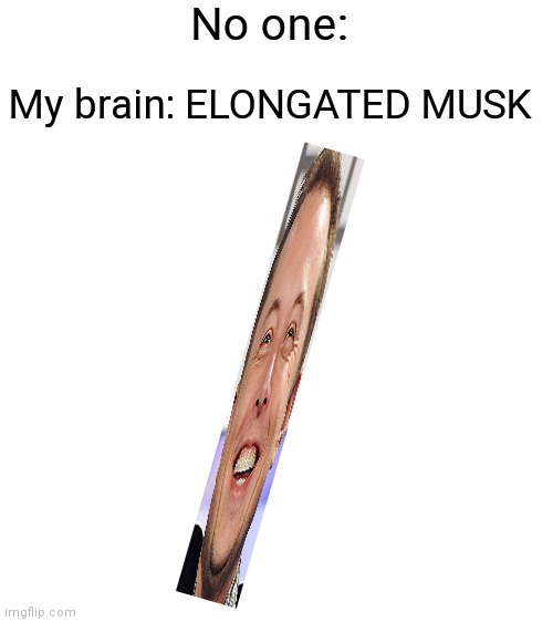 Blank White Template | No one:; My brain: ELONGATED MUSK | image tagged in blank white template,elon musk | made w/ Imgflip meme maker
