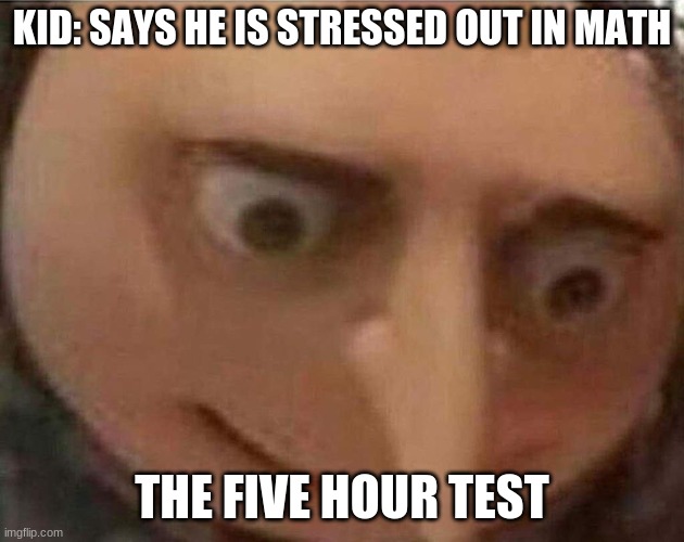 gru meme | KID: SAYS HE IS STRESSED OUT IN MATH; THE FIVE HOUR TEST | image tagged in gru meme | made w/ Imgflip meme maker