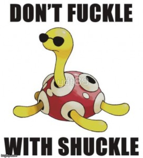 don't fuckle with shuckle | image tagged in don't fuckle with shuckle | made w/ Imgflip meme maker