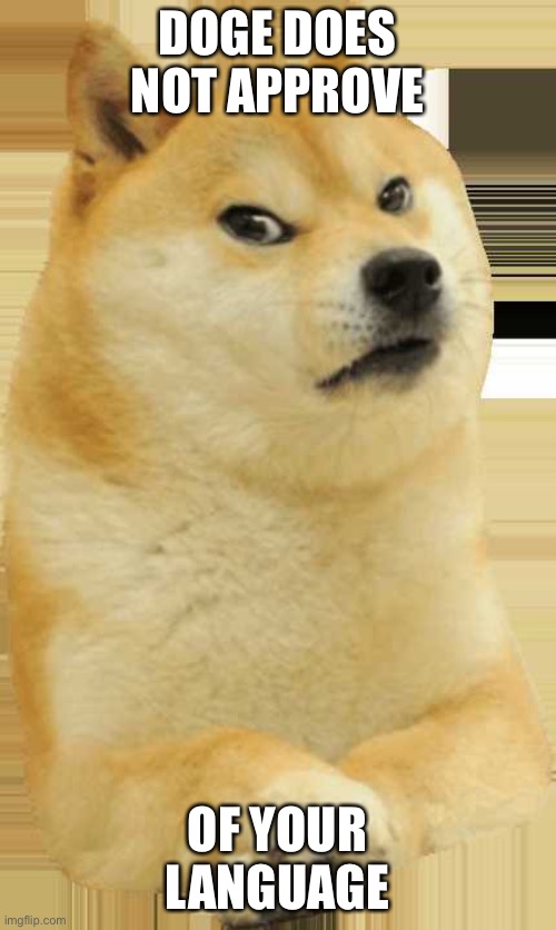 Angry doge | DOGE DOES NOT APPROVE OF YOUR LANGUAGE | image tagged in angry doge | made w/ Imgflip meme maker