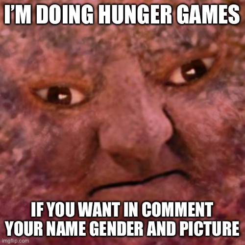 The Meatball Man | I’M DOING HUNGER GAMES; IF YOU WANT IN COMMENT YOUR NAME GENDER AND PICTURE | image tagged in the meatball man | made w/ Imgflip meme maker