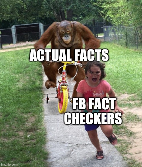 Fb fact checkers | ACTUAL FACTS; FB FACT CHECKERS | image tagged in little girl running away | made w/ Imgflip meme maker