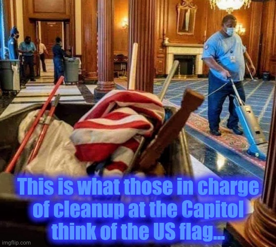 Grand Old Flag | This is what those in charge
of cleanup at the Capitol
think of the US flag... | image tagged in flag,capitol | made w/ Imgflip meme maker