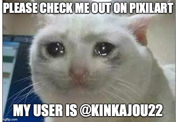 Please please please T^T | PLEASE CHECK ME OUT ON PIXILART; MY USER IS @KINKAJOU22 | image tagged in crying cat,pixilart | made w/ Imgflip meme maker