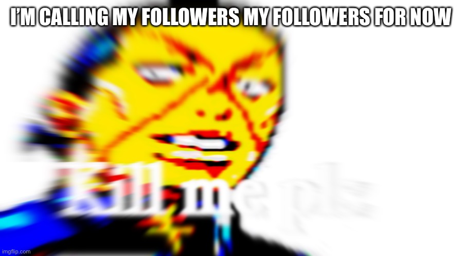 Kill me pls | I’M CALLING MY FOLLOWERS MY FOLLOWERS FOR NOW | image tagged in kill me pls | made w/ Imgflip meme maker