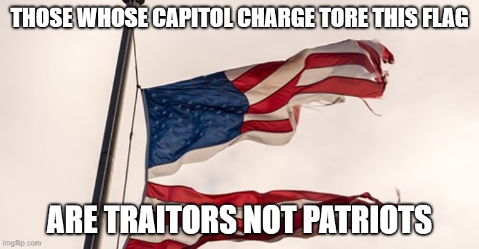 Treason | THOSE WHOSE CAPITOL CHARGE TORE THIS FLAG; ARE TRAITORS NOT PATRIOTS | image tagged in traitors and patriots,capitol insurrection | made w/ Imgflip meme maker