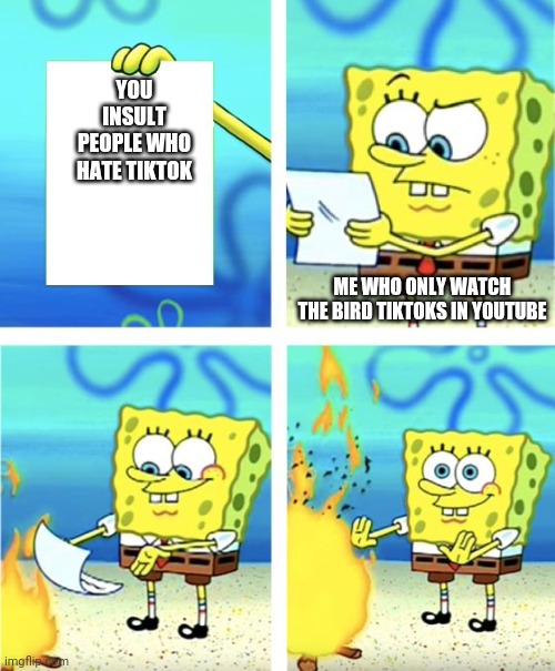 Spongebob Burning Paper | YOU INSULT PEOPLE WHO HATE TIKTOK ME WHO ONLY WATCH THE BIRD TIKTOKS IN YOUTUBE | image tagged in spongebob burning paper | made w/ Imgflip meme maker
