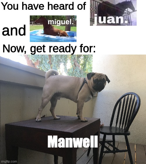 Juan has been slain, Mawell Reigns supreme | You have heard of; and; Now, get ready for:; Manwell | image tagged in juan | made w/ Imgflip meme maker