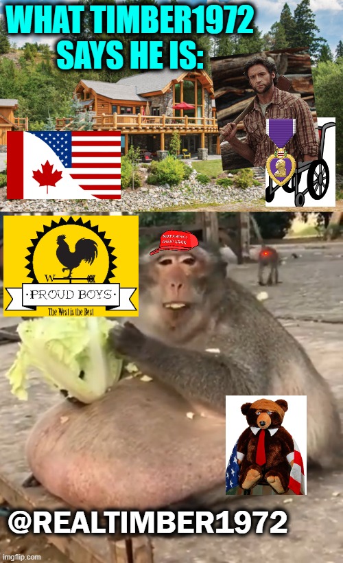 WHAT TIMBER1972 SAYS HE IS:; @REALTIMBER1972 | image tagged in canadian,patriot,american,lumberjack,wheelchair | made w/ Imgflip meme maker