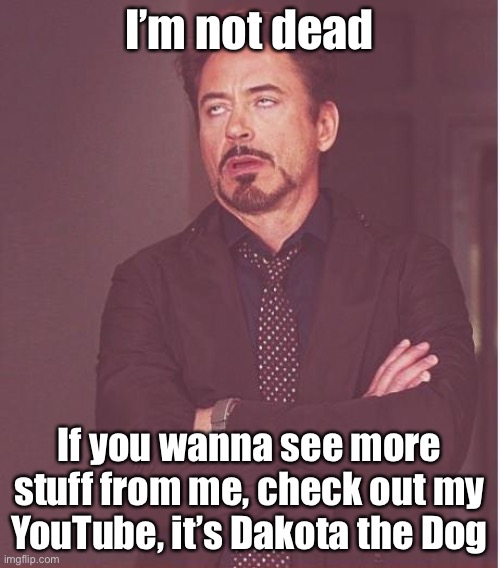 I’m not dead | I’m not dead; If you wanna see more stuff from me, check out my YouTube, it’s Dakota the Dog | image tagged in memes,face you make robert downey jr | made w/ Imgflip meme maker
