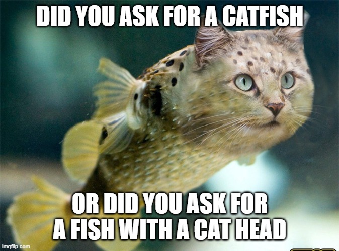 CatFish meme | DID YOU ASK FOR A CATFISH; OR DID YOU ASK FOR A FISH WITH A CAT HEAD | image tagged in funny | made w/ Imgflip meme maker