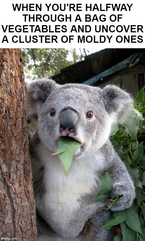 Surprised Koala | WHEN YOU'RE HALFWAY THROUGH A BAG OF VEGETABLES AND UNCOVER A CLUSTER OF MOLDY ONES | image tagged in memes,surprised koala | made w/ Imgflip meme maker