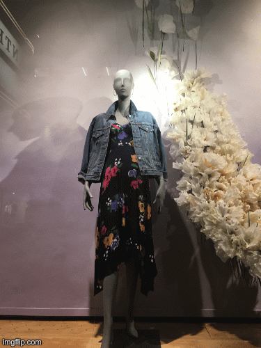 Age of Anthropologie | image tagged in fashion,window design,anthropologie,brian einersen | made w/ Imgflip images-to-gif maker