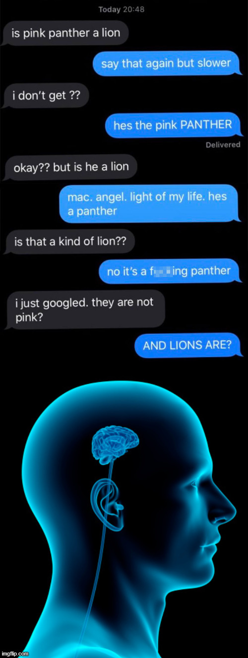 the pink lion | image tagged in small brain | made w/ Imgflip meme maker