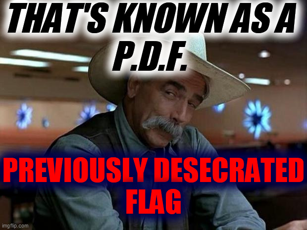special kind of stupid | THAT'S KNOWN AS A
P.D.F. PREVIOUSLY DESECRATED
FLAG | image tagged in special kind of stupid | made w/ Imgflip meme maker