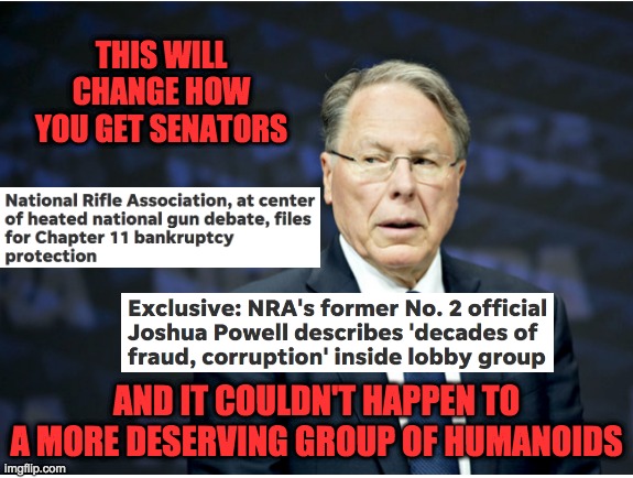 Out of their cold, fraudulent hands | THIS WILL CHANGE HOW YOU GET SENATORS; AND IT COULDN'T HAPPEN TO A MORE DESERVING GROUP OF HUMANOIDS | image tagged in nra,money,power | made w/ Imgflip meme maker