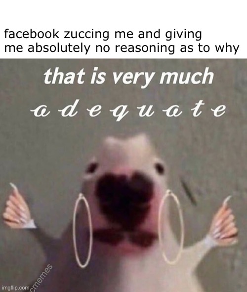 zucchini man is mad at me | facebook zuccing me and giving me absolutely no reasoning as to why | image tagged in facebook jail,facebook problems,mark zuckerberg | made w/ Imgflip meme maker
