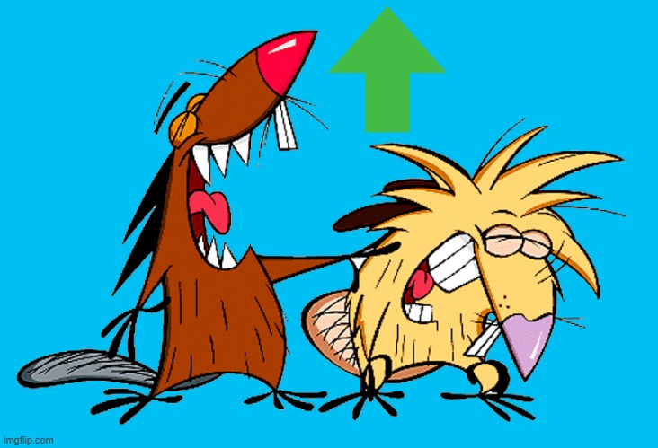 angry beavers | image tagged in angry beavers | made w/ Imgflip meme maker