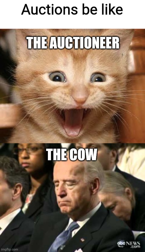Auctions be like |  Auctions be like; THE AUCTIONEER; THE COW | image tagged in auction,memes | made w/ Imgflip meme maker