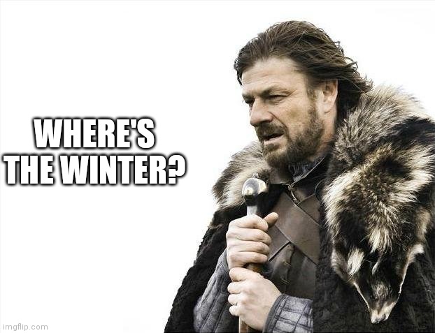 Where's the winter | WHERE'S THE WINTER? | image tagged in memes,brace yourselves x is coming | made w/ Imgflip meme maker