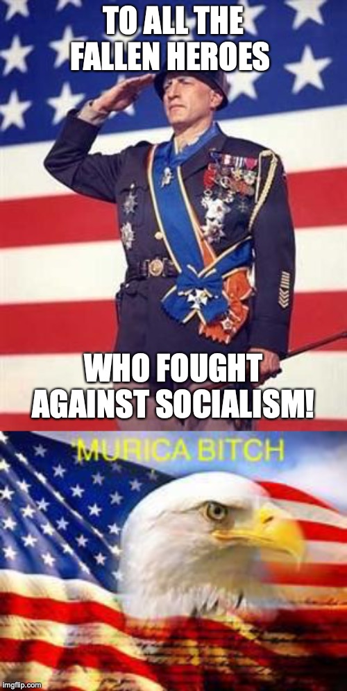 Salute The Fallen! | TO ALL THE FALLEN HEROES; WHO FOUGHT AGAINST SOCIALISM! | image tagged in patton salutes you | made w/ Imgflip meme maker