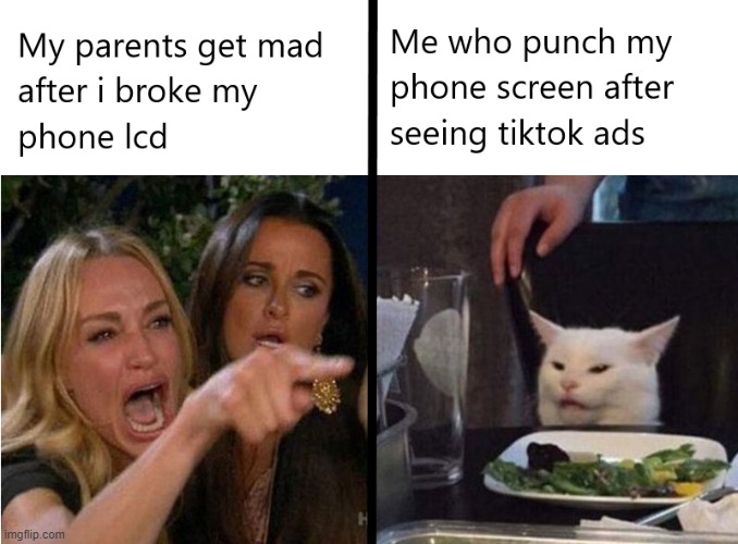 Not gonna lie, i punch my phone screen until the lcd broke | image tagged in memes,funny memes,tik tok sucks,tiktok sucks,woman yelling at cat | made w/ Imgflip meme maker