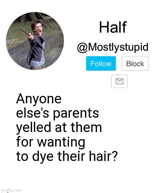 Mostlystupid template | Anyone else's parents yelled at them for wanting to dye their hair? | image tagged in mostlystupid template | made w/ Imgflip meme maker