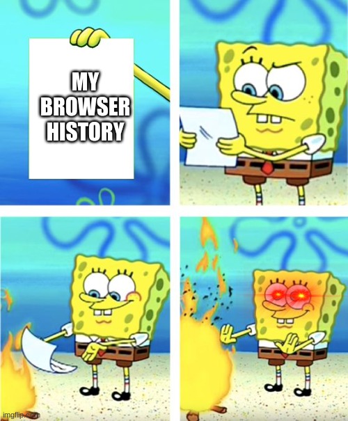 My browser history | MY BROWSER HISTORY | image tagged in spongebob burning paper | made w/ Imgflip meme maker