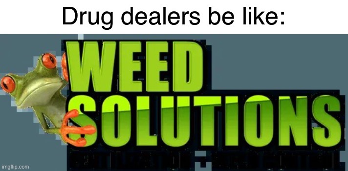 funny original meme | Drug dealers be like: | image tagged in weed soulutions,funny,memes,funny memes,420,frog | made w/ Imgflip meme maker