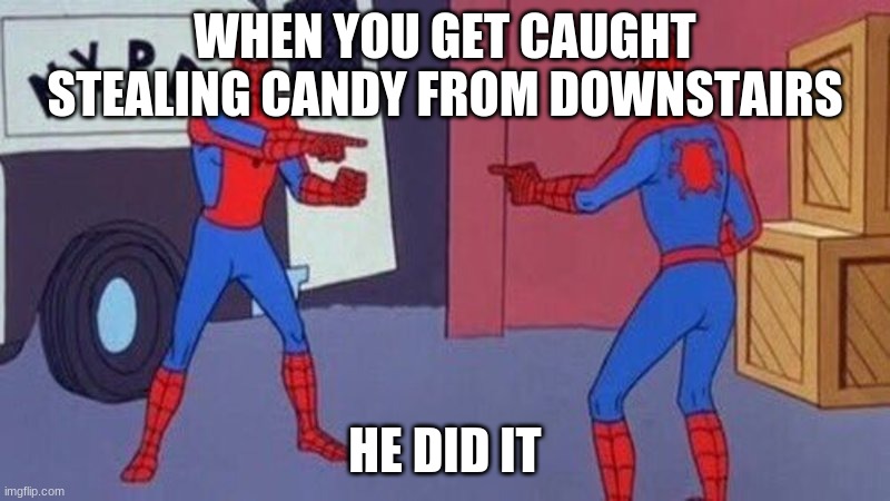 NO HE DID It | WHEN YOU GET CAUGHT STEALING CANDY FROM DOWNSTAIRS; HE DID IT | image tagged in spiderman pointing at spiderman | made w/ Imgflip meme maker