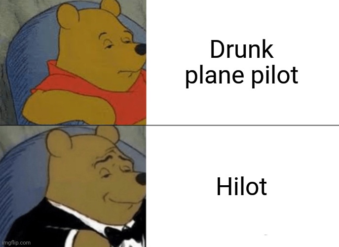 ( ͡° ͜ʖ ͡°) | Drunk plane pilot; Hilot | image tagged in memes,tuxedo winnie the pooh | made w/ Imgflip meme maker