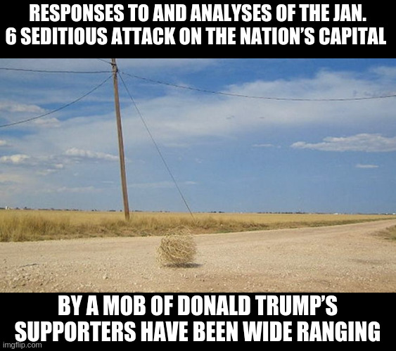 Tumbleweed | RESPONSES TO AND ANALYSES OF THE JAN. 6 SEDITIOUS ATTACK ON THE NATION’S CAPITAL; BY A MOB OF DONALD TRUMP’S SUPPORTERS HAVE BEEN WIDE RANGING | image tagged in tumbleweed | made w/ Imgflip meme maker