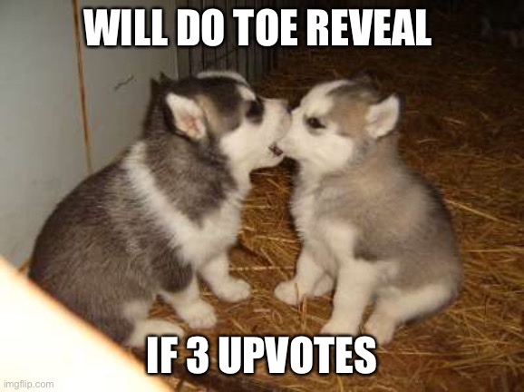 i will | WILL DO TOE REVEAL; IF 3 UPVOTES | image tagged in stop reading the tags,oh wow are you actually reading these tags,unnecessary tags,upvote begging | made w/ Imgflip meme maker