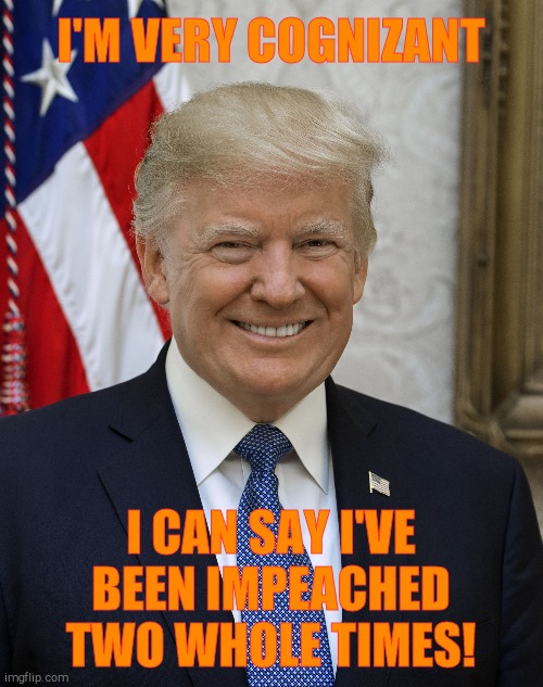 Trump Idiot | I'M VERY COGNIZANT I CAN SAY I'VE BEEN IMPEACHED TWO WHOLE TIMES! | image tagged in trump idiot | made w/ Imgflip meme maker