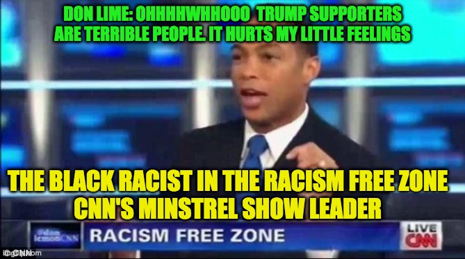 THE CNN MINSTREL SHOW | DON LIME: OHHHHWHHOOO  TRUMP SUPPORTERS ARE TERRIBLE PEOPLE. IT HURTS MY LITTLE FEELINGS; THE BLACK RACIST IN THE RACISM FREE ZONE
CNN'S MINSTREL SHOW LEADER | image tagged in don lemon fake news | made w/ Imgflip meme maker