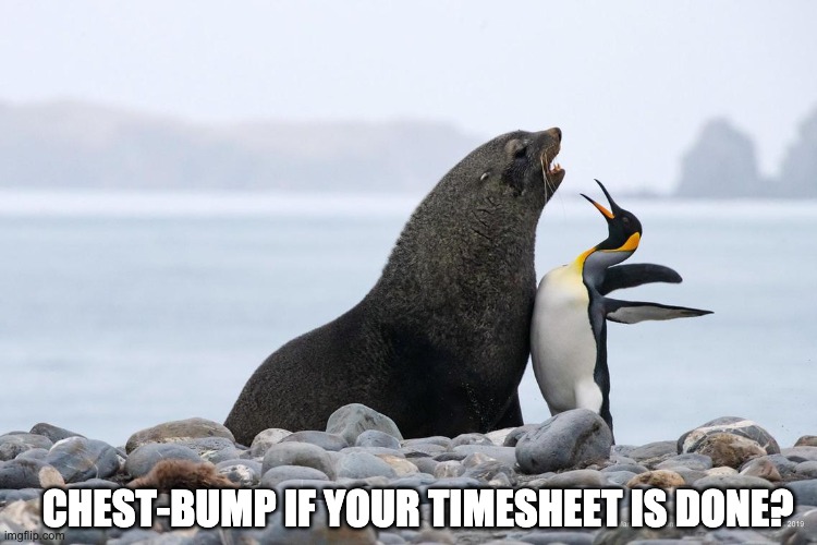 chest-bump timesheet reminder | CHEST-BUMP IF YOUR TIMESHEET IS DONE? | image tagged in chest-bump timesheet reminder,timesheet reminder,funny memes,timesheet,chest-bump | made w/ Imgflip meme maker