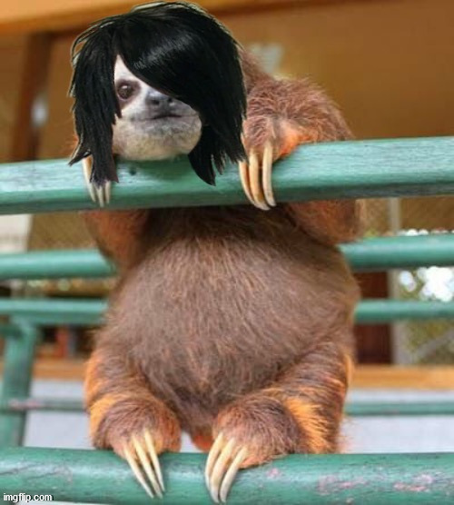 Sloth Nicø | image tagged in sloth nic | made w/ Imgflip meme maker