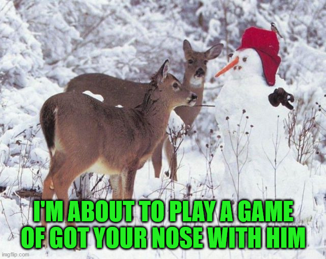 I'M ABOUT TO PLAY A GAME OF GOT YOUR NOSE WITH HIM | image tagged in eye roll | made w/ Imgflip meme maker