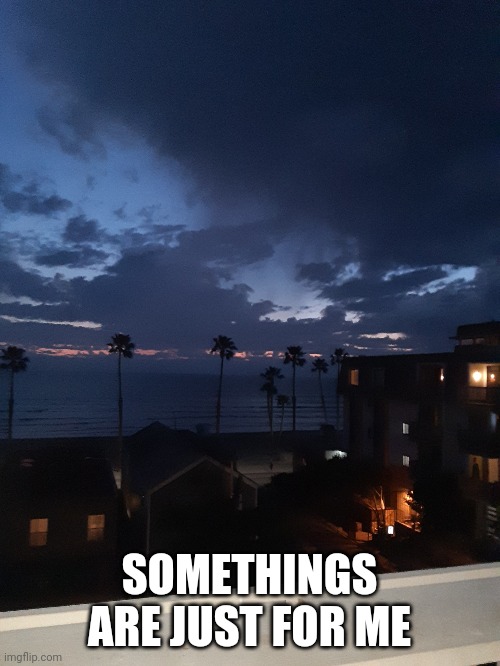 SOMETHINGS ARE JUST FOR ME | image tagged in yes,beach,sunset,dream | made w/ Imgflip meme maker