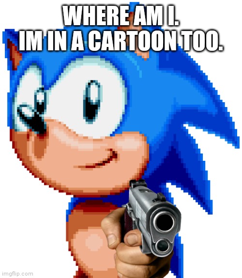 sonic with a gun | WHERE AM I.
IM IN A CARTOON TOO. | image tagged in sonic with a gun | made w/ Imgflip meme maker