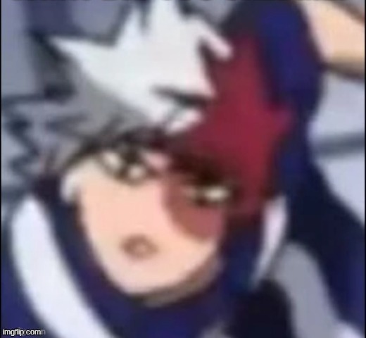 WTF shoto | image tagged in wtf shoto | made w/ Imgflip meme maker