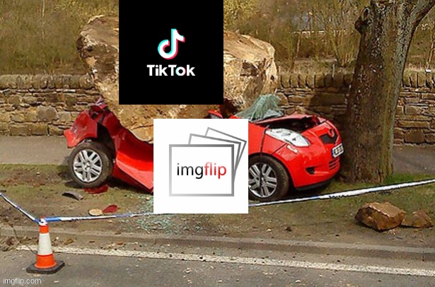 epic tiktok is awesome | image tagged in memes,gifs,funny,animals | made w/ Imgflip meme maker