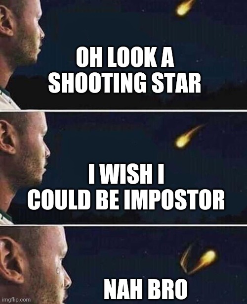 When u want impostor | OH LOOK A SHOOTING STAR; I WISH I COULD BE IMPOSTOR; NAH BRO | image tagged in shooting star | made w/ Imgflip meme maker